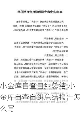 小金库自查自纠总结,小金库自查自纠总结报告怎么写