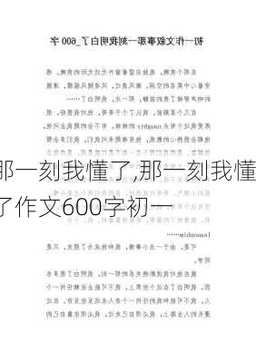 那一刻我懂了,那一刻我懂了作文600字初一