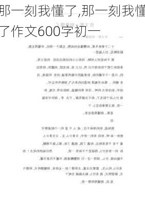 那一刻我懂了,那一刻我懂了作文600字初一