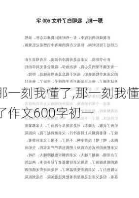 那一刻我懂了,那一刻我懂了作文600字初一