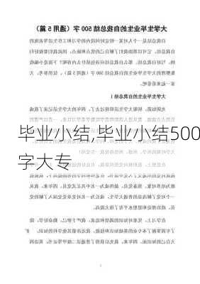 毕业小结,毕业小结500字大专