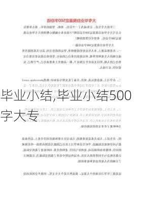 毕业小结,毕业小结500字大专