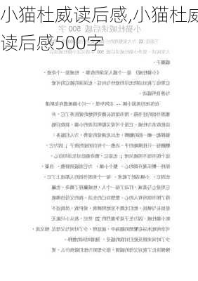 小猫杜威读后感,小猫杜威读后感500字