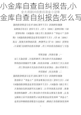 小金库自查自纠报告,小金库自查自纠报告怎么写