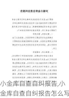 小金库自查自纠报告,小金库自查自纠报告怎么写