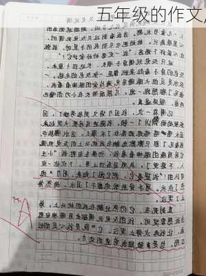 五年级的作文,