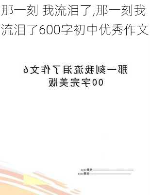 那一刻 我流泪了,那一刻我流泪了600字初中优秀作文