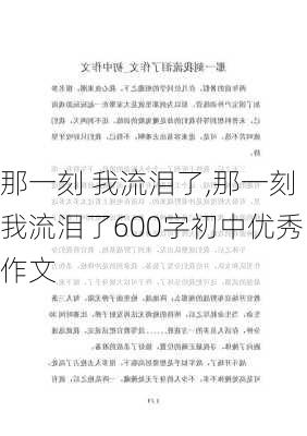 那一刻 我流泪了,那一刻我流泪了600字初中优秀作文