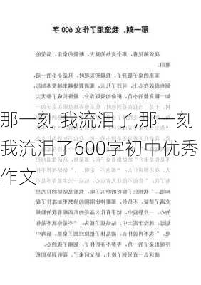 那一刻 我流泪了,那一刻我流泪了600字初中优秀作文