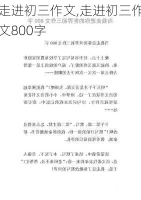 走进初三作文,走进初三作文800字