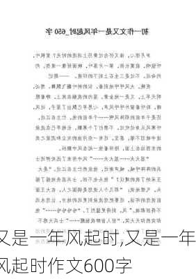 又是一年风起时,又是一年风起时作文600字