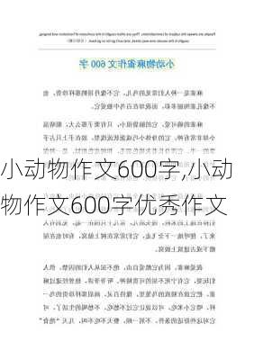 小动物作文600字,小动物作文600字优秀作文