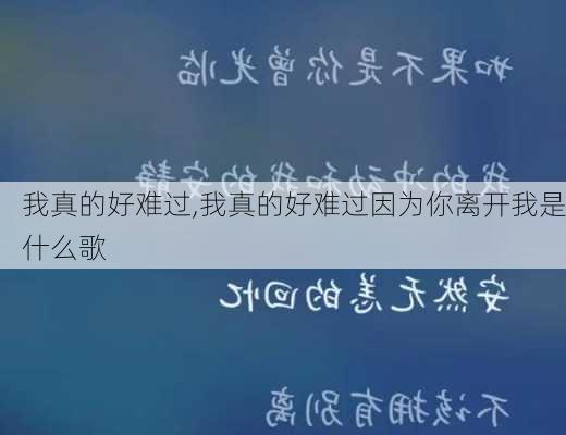 我真的好难过,我真的好难过因为你离开我是什么歌