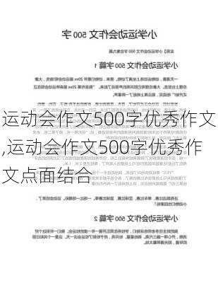 运动会作文500字优秀作文,运动会作文500字优秀作文点面结合