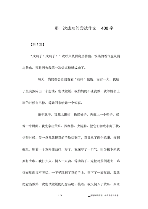 那是一次成功的尝试,那是一次成功的尝试400字作文