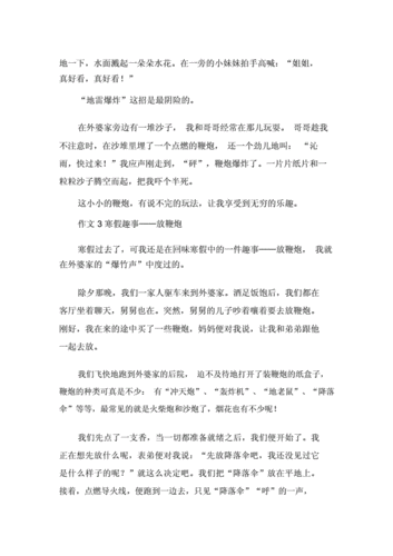 寒假趣事作文300字,寒假趣事作文300字三年级下册鞭炮