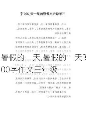 暑假的一天,暑假的一天300字作文三年级