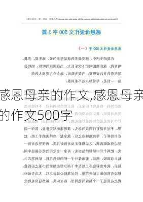 感恩母亲的作文,感恩母亲的作文500字