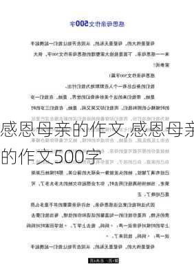 感恩母亲的作文,感恩母亲的作文500字