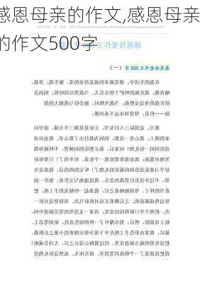 感恩母亲的作文,感恩母亲的作文500字