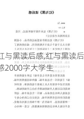 红与黑读后感,红与黑读后感2000字大学生