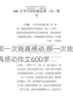 那一次我真感动,那一次我真感动作文600字