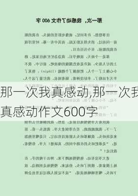 那一次我真感动,那一次我真感动作文600字