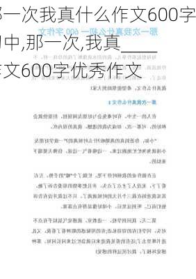 那一次我真什么作文600字初中,那一次,我真____作文600字优秀作文