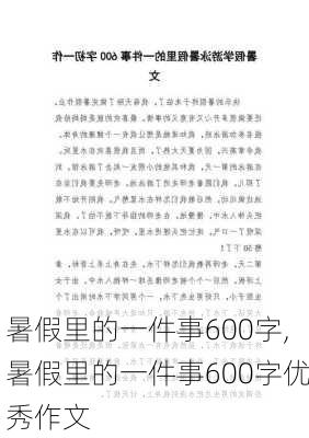 暑假里的一件事600字,暑假里的一件事600字优秀作文