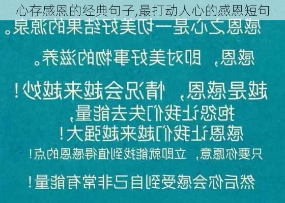 心存感恩的经典句子,最打动人心的感恩短句