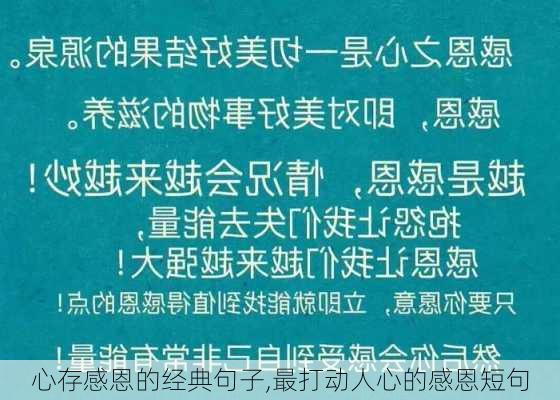 心存感恩的经典句子,最打动人心的感恩短句