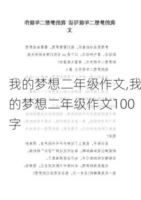 我的梦想二年级作文,我的梦想二年级作文100字