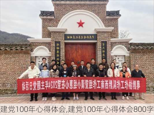 建党100年心得体会,建党100年心得体会800字