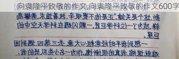 向袁隆平致敬的作文,向袁隆平致敬的作文600字