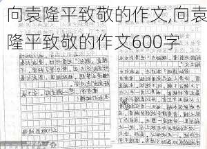 向袁隆平致敬的作文,向袁隆平致敬的作文600字