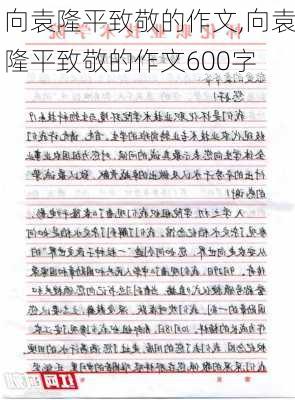 向袁隆平致敬的作文,向袁隆平致敬的作文600字