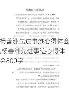 杨善洲先进事迹心得体会,杨善洲先进事迹心得体会800字