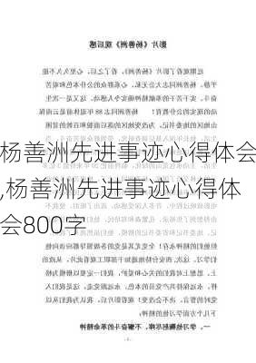 杨善洲先进事迹心得体会,杨善洲先进事迹心得体会800字