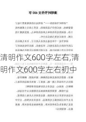 清明作文600字左右,清明作文600字左右初中