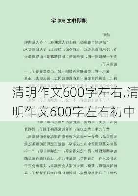 清明作文600字左右,清明作文600字左右初中