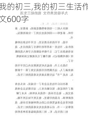 我的初三,我的初三生活作文600字