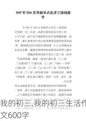 我的初三,我的初三生活作文600字