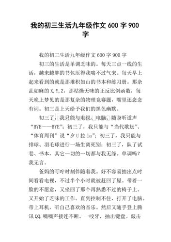 我的初三,我的初三生活作文600字