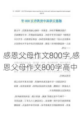 感恩父母作文800字,感恩父母作文800字高中