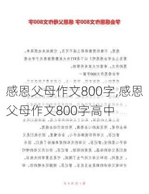 感恩父母作文800字,感恩父母作文800字高中