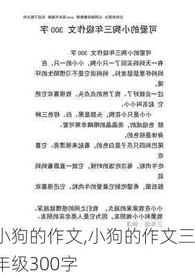 小狗的作文,小狗的作文三年级300字