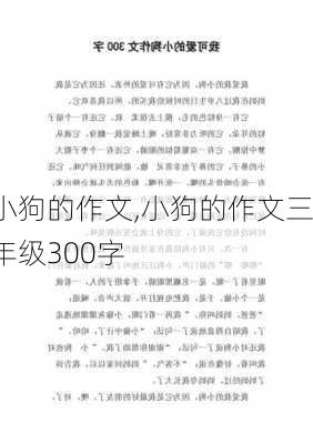 小狗的作文,小狗的作文三年级300字