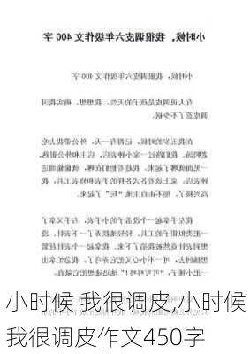 小时候 我很调皮,小时候我很调皮作文450字