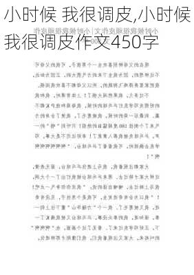 小时候 我很调皮,小时候我很调皮作文450字