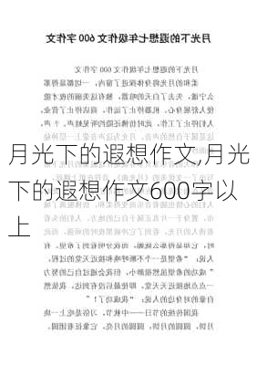 月光下的遐想作文,月光下的遐想作文600字以上